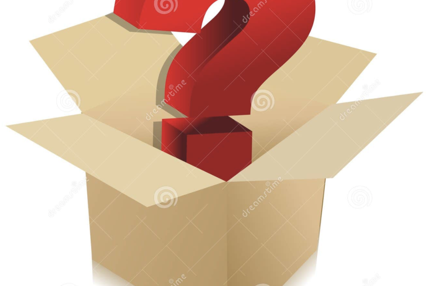 WHAT’S IN THE BOX………